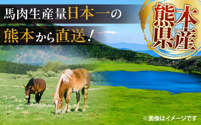 馬肺の佃煮と馬たんラー油漬け 約200g / おつまみ 珍味 馬肉 馬肺 馬たん 佃煮 ラー油 熊本県 菊陽町【有限会社菊陽食肉センター】 [BHAC009]