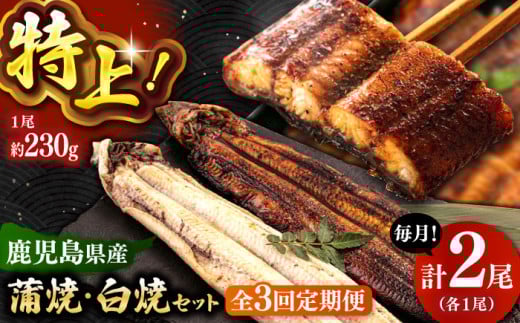 全3回定期便 鹿児島産うなぎ2尾 蒲焼・白焼セット ▼うなぎ蒲焼 ウナギ 鰻 蒲焼 白焼 有頭  海鮮  定期便 桂川町/山水商事 [ADAH018]