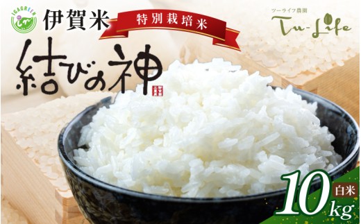 
                  特別栽培米・伊賀米結びの神 10kg【tuli0004A】
                