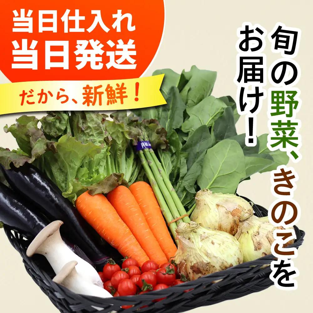 【6回定期便】野菜定期便 8品目 [SCZ029]