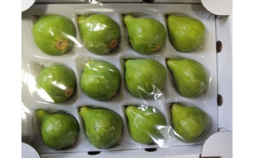 【先行予約】浜田の自然が育てた甘さ抜群の夏いちじく「ザ・キング」生食用 約900ｇ【113_1159】