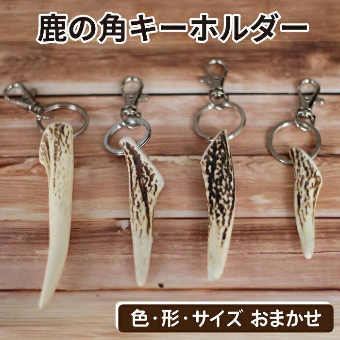 【ふるさと納税】 キーホルダー おすすめ 鹿の角キーホルダー 1個 / 鹿 角 鹿の角 ツノ 鹿角 つの 本物 二ホンジカ シカ しか 日用品 アクセサリー ストラップ すとらっぷ 装飾品 飾り 野生 天然 きーほるだー ワイルド アウトドア 男性 女性 岩手県 滝沢市 送料無料