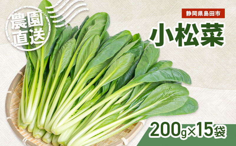 静岡県島田市産 小松菜200g×15袋　野菜 やさい こまつな 旬 国産 産地直送 詰合せ 静岡県 島田市