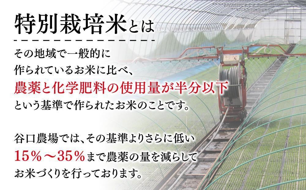 ゆめぴりか白米２kg　ゆめぴりか甘酒セット　大雪山系の豊かな水で育った谷口農場特別栽培米【 米 お米 ご飯 ごはん 精米 北海道産 旬  特A 旭川市 北海道 】_00927