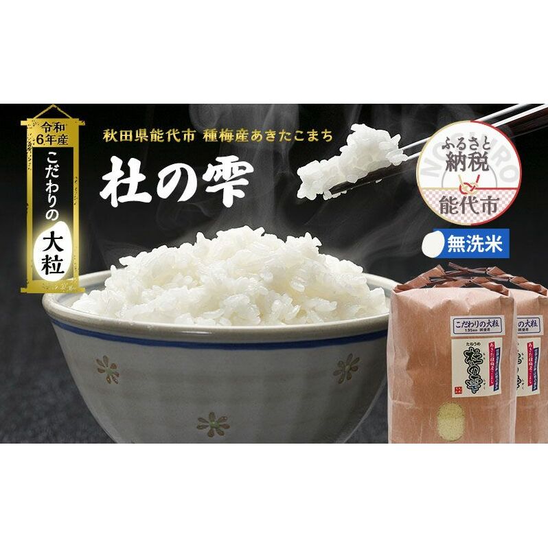 新米 米 お米 《定期便9ヶ月》【無洗米】秋田県産 あきたこまち あきた種梅産こまち 杜の雫 こだわりの大粒 9kg（4.5kg×2袋）×9回 合計81kg