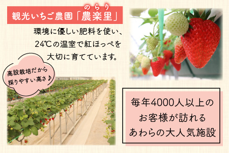 【先行予約】あわらの大人気 観光いちご農園「農楽里」で採れた「紅ほっぺ」のいちごジャム 140g×4瓶 ※2024年5月発送