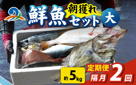 【定期便　隔月２回】【朝獲り】漁師厳選 鮮魚セット (大) 5種類以上 約5kg | 魚 詰め合わせ 新鮮 煮物 焼き物 お造り 刺身 晩酌 食卓 BBQ 急速冷凍 真空パック 鮮魚セット 詰合せ 鮮魚店 厳選 お任せ 鮮度 産直 海鮮 加熱用 福井県 南越前町 越前 盛り合わせ おまかせ お楽しみ おつまみ おかず ご飯のお供 送料無料