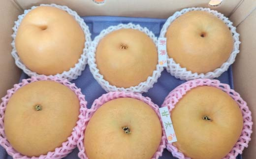梨 甘太 新興 にっこり 1～3種入り 4kg 6～8個 ＜箭内厳雄果樹