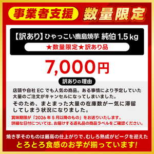 【焼き芋】 数量限定 訳あり 冷凍焼き芋 500g ×3袋「ひゃっこい 鹿島焼芋 純伯 1.5kg」 焼き芋
