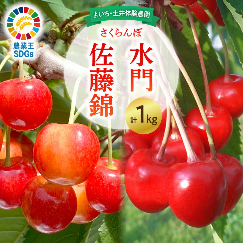 【ふるさと納税】【先行予約：2025年6月下旬以降発送】さくらんぼ【佐藤錦・水門セット】1kg