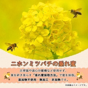 n350 数量限定 種子島産 蜂蜜 日本みつばちのはちみつ 180g × 2個 ハチミツ 垂れ蜜 百花蜜 パウチ 【ひさちゃん養蜂園】
