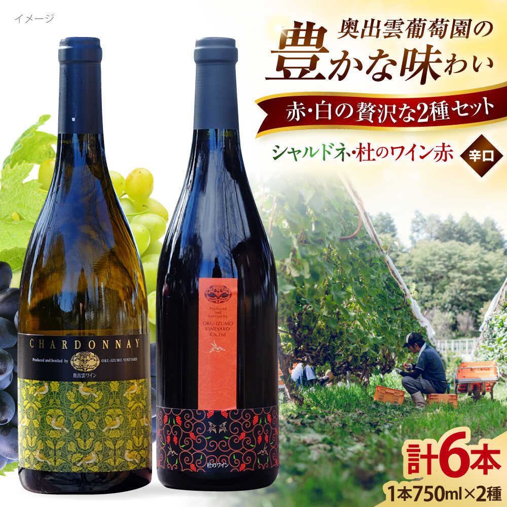 【ふるさと納税】奥出雲葡萄園 シャルドネ 3本・杜のワイン赤3本 国産 ワイン セット 島根県雲南市/有限会社奥出雲葡萄園[AICS007] 赤ワイン 白ワイン 飲み比べ 日本ワイン 国産ワイン 島根ワイン 厳選 赤 白 ブドウ 葡萄 お酒 酒 辛口 ギフト 贈り物 人気 おすすめ