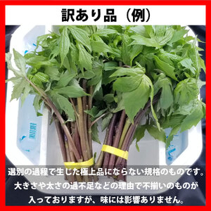 しどけ 天然 訳あり 品 250g×2束 計500g 岩手県 遠野市 産 シドケ 山菜 田村りんご店 期間限定 数量限定 【 先行予約 2026年5月上旬発送】