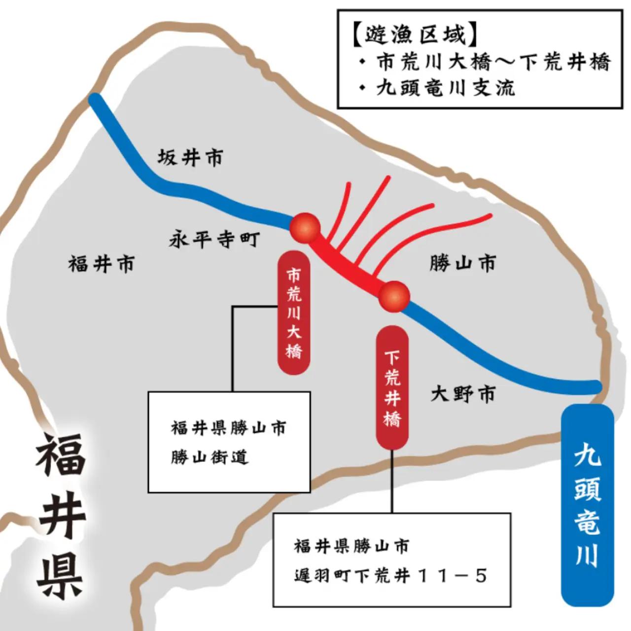 鮎友釣り年券 九頭竜川（勝山市漁協）2026年 1名様分 [D-001004]