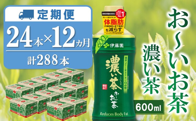 【12か月定期便】おーいお茶濃い茶 600ml×24本(合計12ケース)【伊藤園 お茶 緑茶 濃い 渋み まとめ買い 箱買い ケース買い カテキン 2倍 体脂肪】 J02-J071375