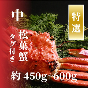 【1566】【特選】松葉ガニ 中サイズ 約450g～600g タグ付(茹で)