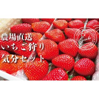 【 予約受付 】 いちご 食べ比べ 1.6kg