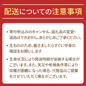 【フルーツ6回定期便】もぎたて市場から2ヶ月に1回発送／ 隔月 定期便 いちご 苺 メロン ぶどう 梨 キウイ 果物 くだもの 鉾田市 茨城県 送料無料 産地直送 ギフト 詰め合わせ 贈答 セット 採