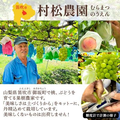 ふるさと納税 笛吹市 2026年先行予約!甘酸っぱいスモモ「大石早生」6P 約1.4kg 24〜36玉入 村松農園 山梨県 |  | 03