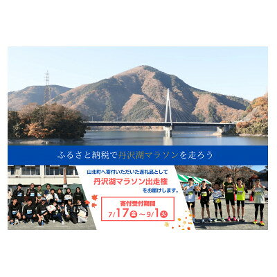 【ふるさと納税】丹沢湖マラソン10km出走権&オリジナルTシャツ&さくらの湯利用券11月29日(日)開催【1756566】