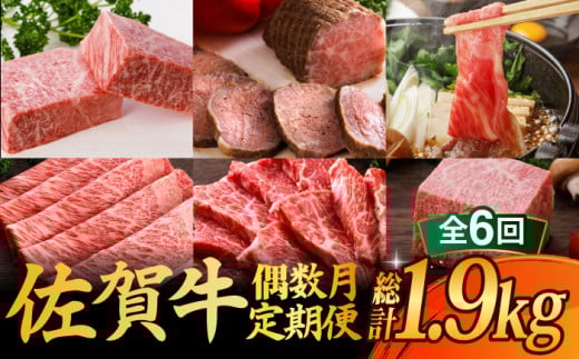 【全6回定期便・偶数月にお届け】 A5 佐賀牛 霜降り 牛肉 食べ比べ 定期便 約2-3人前 総計1.95kg 隔月発送 /焼肉どすこい [UCC008] 牛肉 肉 ステーキ ローストビーフ 国産牛 牛肉 ブランド牛 佐賀県 武雄市