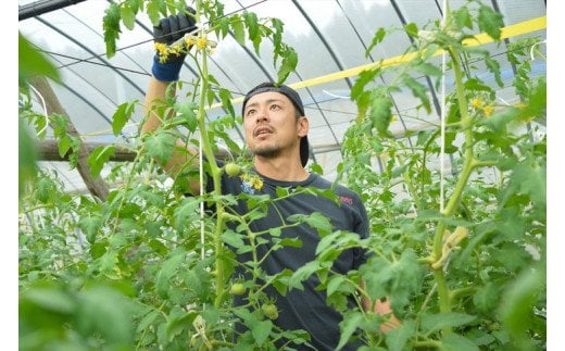 「トマトケチャップ」 180g×5個セット｜小分け 個包装 とまと ベジタブル 野菜 無添加 愛媛 久万高原町