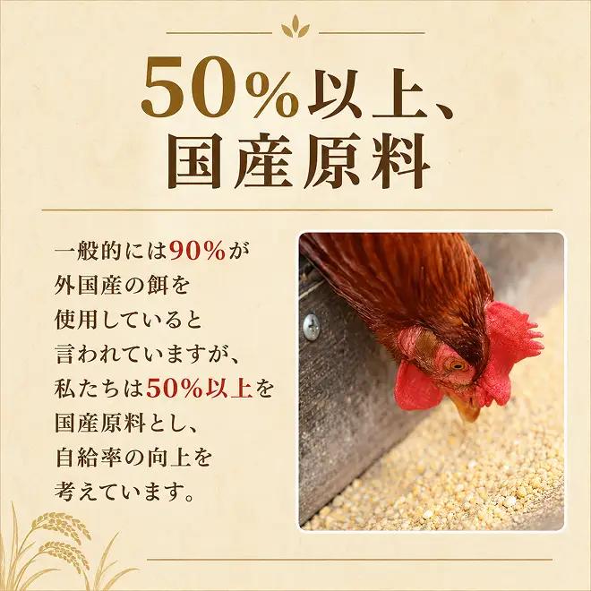 卵 わずか4%の希少な純国産鶏 いけだの森たまご 40個 こだわり おこめのたまご 玉子 鶏卵 生卵 産地直送 冷蔵配送 TKG 卵かけご飯 岐阜県産 