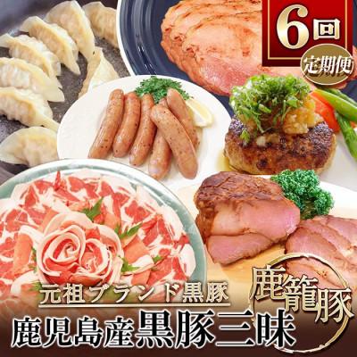 ふるさと納税 枕崎市 【発送月固定定期便】鹿児島県産黒豚三昧Bセット GG5-0001全6回