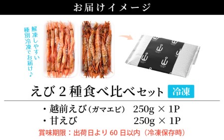新鮮！えび 2種 食べ比べ セット（甘えび 越前えび）約2～3人前【少量 小分け お試し 冷凍 おつまみ お刺身 越前エビ】 [e04-a064]