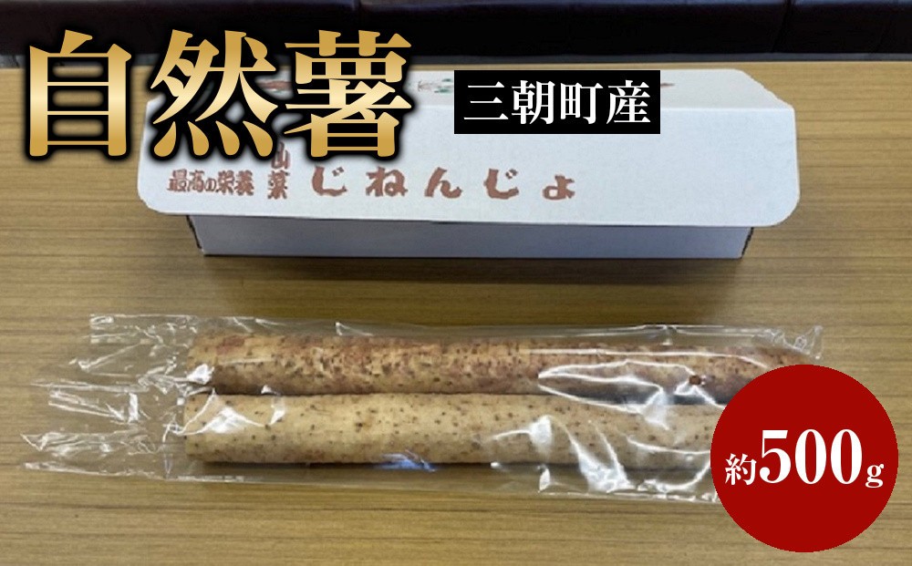 
            三朝町産 自然薯（約500g）
          