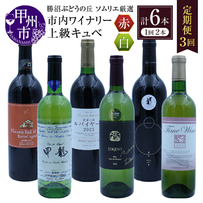 【ふるさと納税】勝沼ぶどうの丘 ワイン 定期便 全6本 750ml 720ml 甘口 辛口 フルボディ ミディアムボディ 上級キュベ 日本ワイン 甲州ワイン 赤ワイン 白ワイン 厳選 ギフト 山梨県 甲州市 （KBO） 【G85-601】