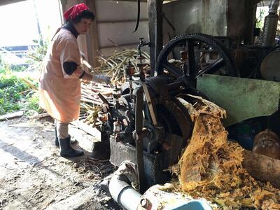 『真きび酢』200ml×3本＜奄美 加計呂麻島 本格きび酢＞