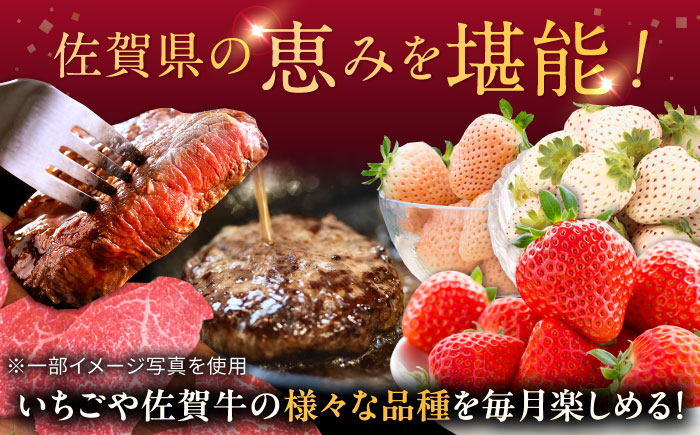 【先行予約】【全6回定期便】佐賀県の生産者を応援！いちごと佐賀牛定期便 / 白いちご いちご ステーキ ハンバーグ 佐賀牛 / 佐賀県ふるさと納税 [41AAZZ007]