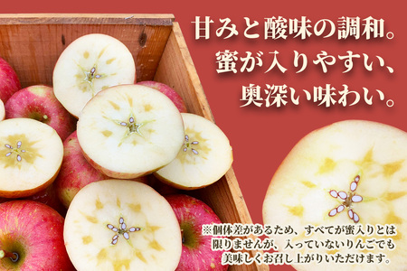完熟！葉とらずサンふじ 5kg [1087]