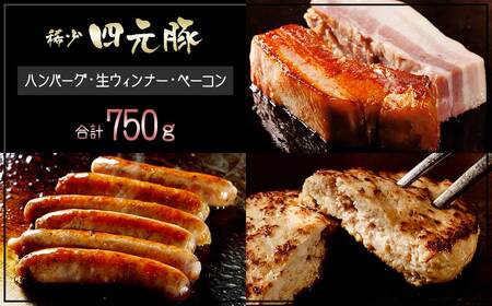 【定期便12ヶ月】GIFTON 岩手県産四元豚 グルメセットA 750g ハンバーグ ウィンナー ベーコン 【1902】