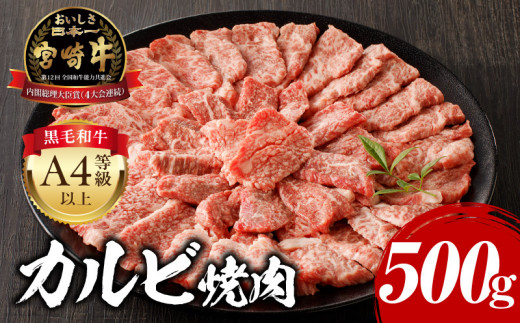 【2026年6月発送】宮崎牛 カルビ焼肉 500g_M243-004-jun