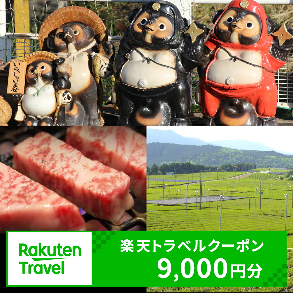 【ふるさと納税】滋賀県甲賀市の対象施設で使える楽天トラベルクーポン 寄付額30,000円