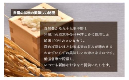 千葉県 大網白里市産 コシヒカリ 20kg（10kg×2袋） J003