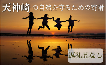 【返礼品なし】天神崎の自然を守るための寄附【tjz006】