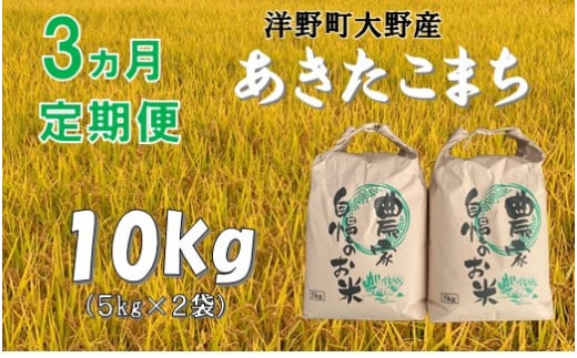 【3ヵ月定期便】令和5年産大野産あきたこまち10㎏（5㎏×2袋）×3回