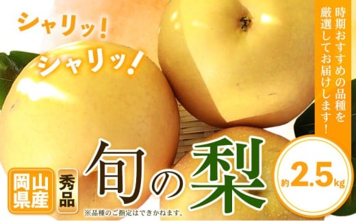 【先行予約】秀品 岡山県産 旬の 梨 約2.5kg 2~6玉前後 梨 秀品 新高 愛宕 スイーツ フルーツ デザート 旬 岡山県 笠岡市《9月上旬-1月末頃に出荷予定》