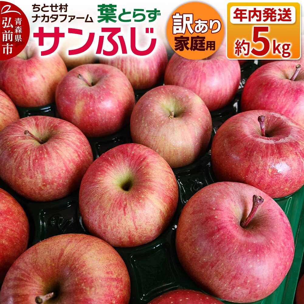 【ふるさと納税】【25年11月〜発送】りんご 葉とらずサンふじ 約5kg 家庭用 訳あり ちとせ村