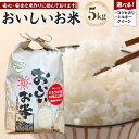 【ふるさと納税】【令和6年産新米】こしひかり or ミルキークイーン 5kg（農薬・化学肥料不使用）9月より順次発送