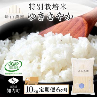 ふるさと納税 知内町 【6カ月定期便】特別栽培米産地直送「ゆきさやか 10kg」《帰山農園》