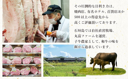 担当者イチオシ!! 石垣産《黒毛和牛》石垣島 島牛ハンバーグ 100g×10個 |和牛 牛肉 冷凍 ハンバーグ 人気 おすすめ 国産 国産牛 小分け 八重山食肉センター 黒毛和牛専門店 肉匠丸富 YC