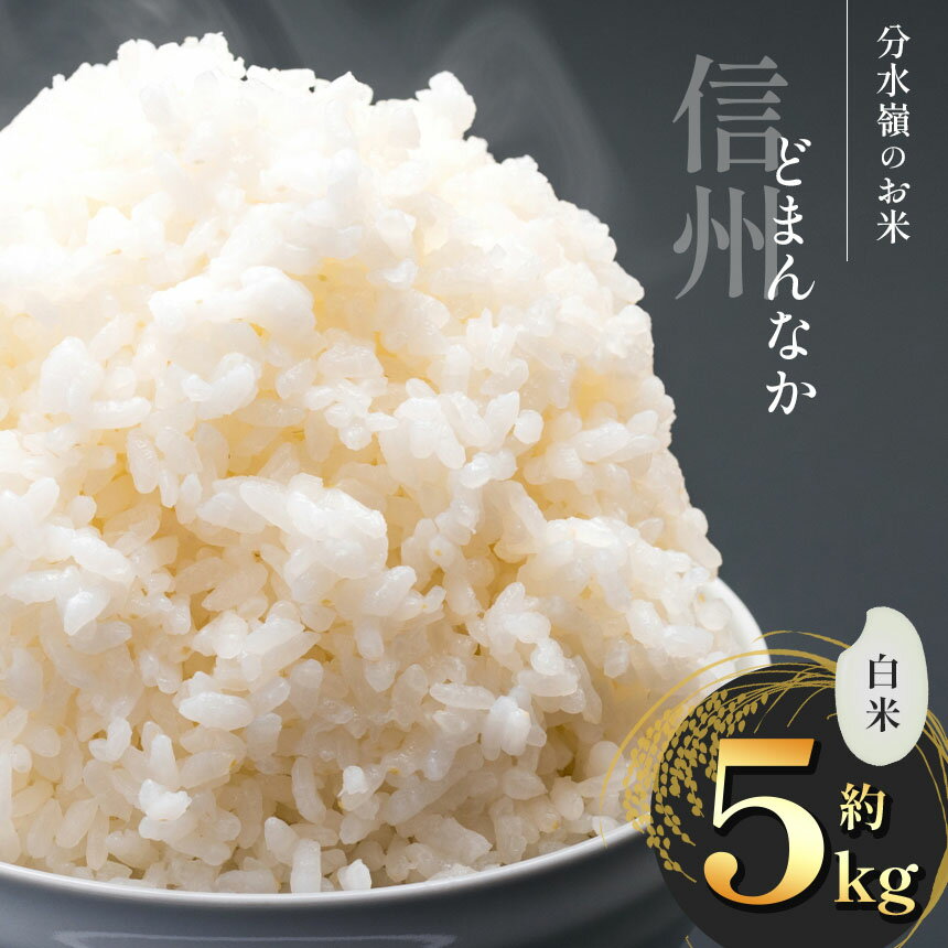 【ふるさと納税】令和7年度産 コシヒカリ 白米 約5kg | コシヒカリ こしひかり 新米 精米 白米 減農薬米 環境にやさしい農産物 長野県 塩尻市