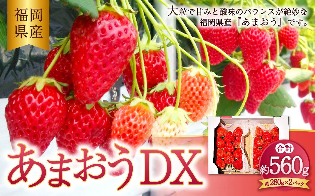 
            【2026年2月上旬～4月上旬発送予定】 あまおうデラックス 約280g×2パック 計560g 苺 いちご フルーツ 国産 冷蔵
          