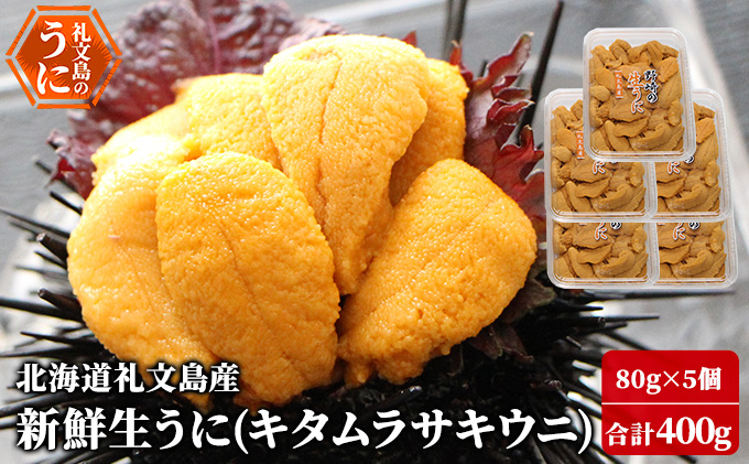北海道 礼文島産 新鮮生うに キタムラサキウニ 80g×5パック［野崎水産］【 うに ウニ 雲丹 生うに ムラサキウニ 素材本来の味 海鮮 うに丼 甘み 産地直送 】