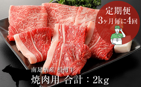 【定期便：3ヶ月毎に4回】相州牛（焼肉・網焼き用）500g【合計２kg】