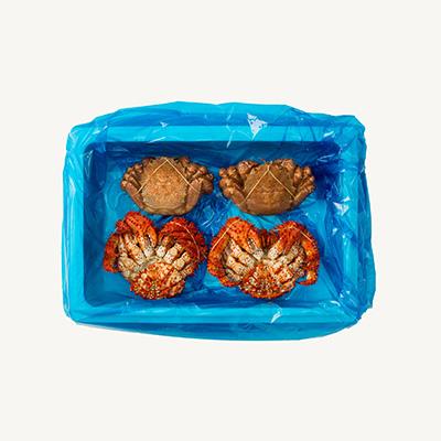 ふるさと納税 根室市 花咲がに2尾、毛がに2尾セット C-54005 |  | 03